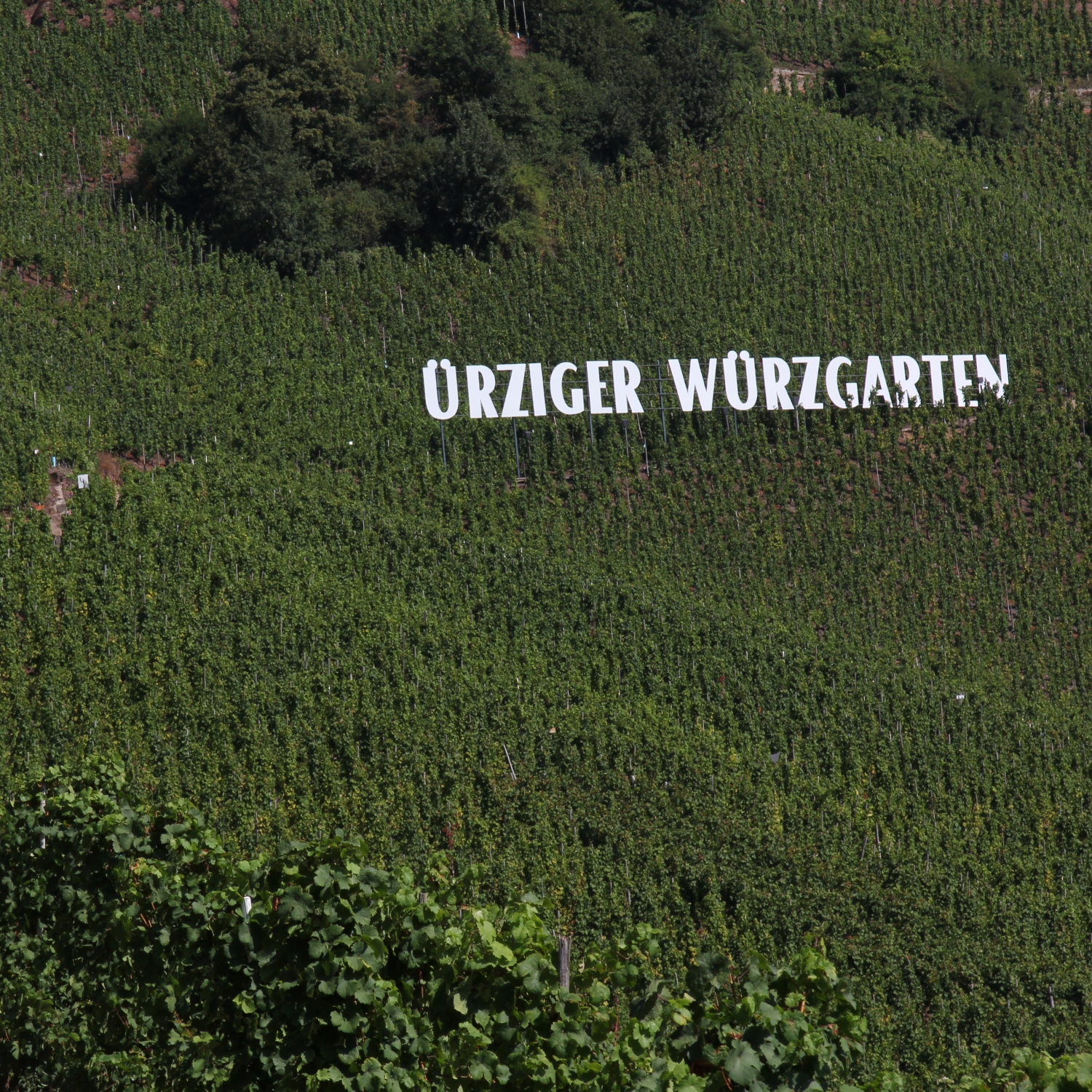 Weingut Lotz Erden
